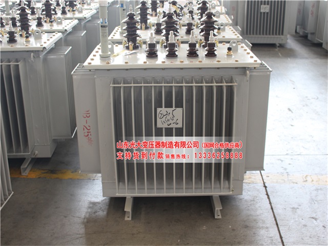 怒江S11-6300KVA油浸式变压器
